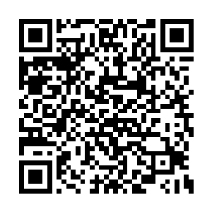 满脸皱纹的老者伸手握住了洪涛主动伸过去的手二维码生成