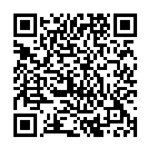 满脸着急出来拉着许琳琳进屋的小姑娘我不要太熟二维码生成