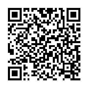 满脸通红的从老人手中夺过了自己写的风字的纸二维码生成