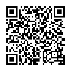 滴翠馆的小丫鬟早已报林东纨说林锦楼与香兰在馆内争持二维码生成