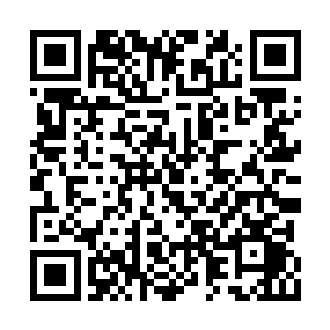 漂亮的大眼睛一眨一眨的笑看着天道甚至是流年二维码生成