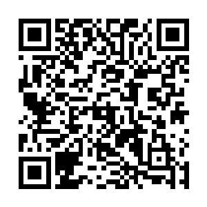 漂亮的王九九便成了这专家救援组里一道靓丽的风景线二维码生成