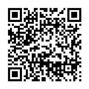漂在肯特身边的帅气精灵大叔的脸上也露出了相同的表情二维码生成