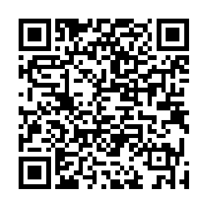漂浮在他身边的鳞片蛋壳瞬间在他背后组成一对黑金羽翼二维码生成