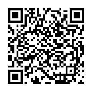 漂浮在金色湖泊中的所有除了仙药圣药之外的东西二维码生成