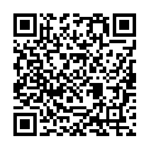 漆黑的森林在夜幕笼罩下就象个张开血盆大口的怪兽二维码生成