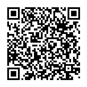 演员工会奖等各大工会奖基本也就囊括了今年表现出色的大部分片子二维码生成