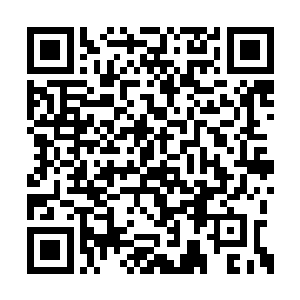 演员表演勉强以及剧情不吸引人的金酸梅奖种子二维码生成