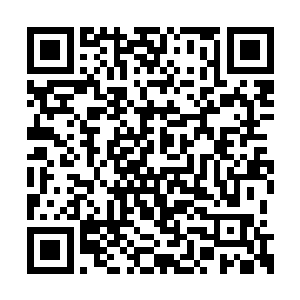 演武台那里……好像……有某种力量觉醒了……二维码生成