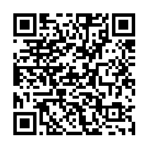 漕粮都是他们一步一个脚印从江南拉到京师太仓库二维码生成