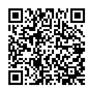 漕运总兵官平江伯陈王谟的行辕兵营是向大盐商借的一座大庄园二维码生成