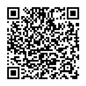 漫天的引起瞬间化作一道道恐怖的黑龙直接在九根黑色的光柱上面蜿蜒盘旋二维码生成