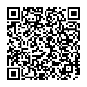 漫天的恐怖的紫sè的雷暴疯狂的倾泻而下一道道雷蛇瞬间交织成一张天罗圎二维码生成