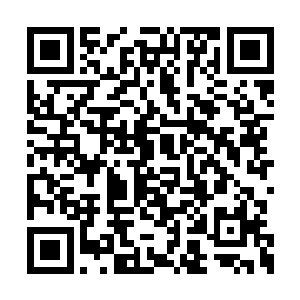 潘多拉从自己的怀中拿出张铁送给她的那颗狼牙二维码生成