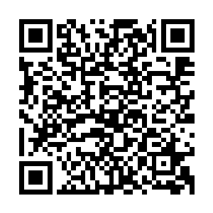 潘德拉地方财政部拨款当年财政收入的万分之一建造了这尊雕像二维码生成