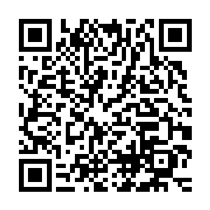 潘森和豹女回家后各买了俩个眼睛控制住了中路上下河道的视野二维码生成