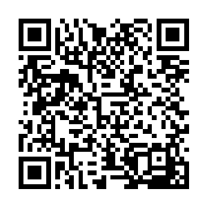 潜伏在湖水里面的白振东也听见了游艇抵达的动静二维码生成