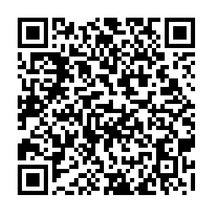 潜力也比裂风狼王要强得多了……成长期就已经是灵兽王级别的强横存在了二维码生成