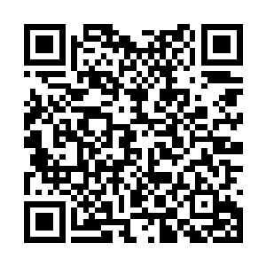 潜龙堂里有登天之阶和许多可以改变你命运的机会二维码生成