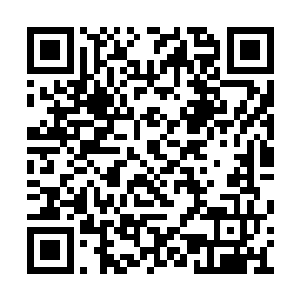 澎湃的天地元气已经化为了一股风暴在这里肆虐二维码生成