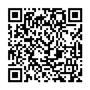 澎湃的气流瞬间像是龙卷风一样狂暴地奔向双眼血红的杰菲斯二维码生成