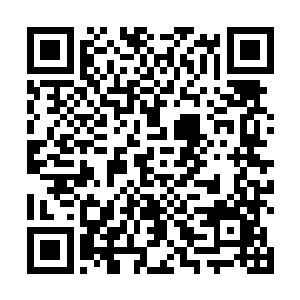 澳市的警察和防暴部队在靠近路上设置了很多道的屏障二维码生成