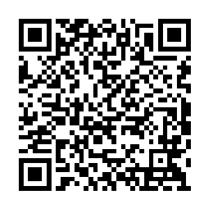 澹台璃正侧躺身体右手支着脑袋满眼笑意望着我二维码生成