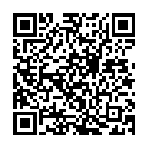 激发出去的火刃和冰刃还有雷电紫灵藤却都没有理会二维码生成