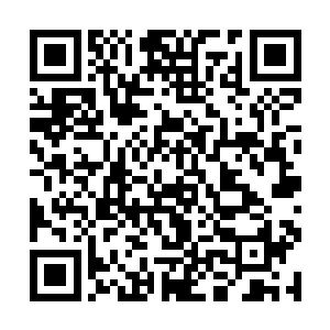 激活来源于洪荒时代十三支碳基生命的各种显性基因二维码生成