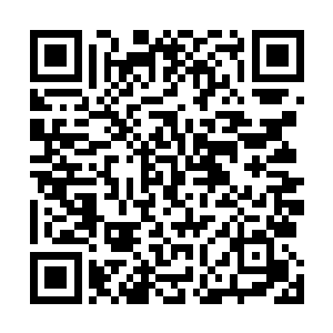 激荡出一道道剧烈的声浪朝着周御龙所化的剑光席卷而去二维码生成