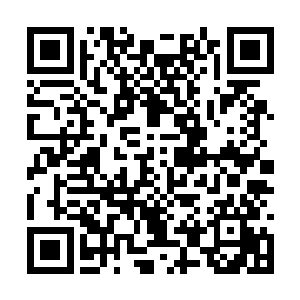 濮大帅已经不耐烦跟苏落一次次的猫捉老鼠下去了二维码生成