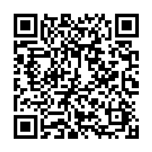 火一样的热情却在姚氏那冰冷又陌生的眼神中逐渐冷却下来二维码生成