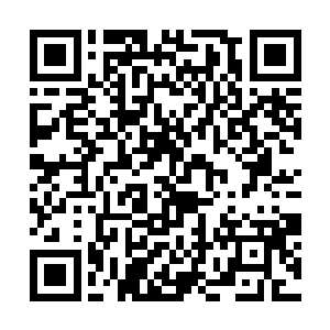 火凤族的人还没有说出价格便是被雷族老者给打断了二维码生成