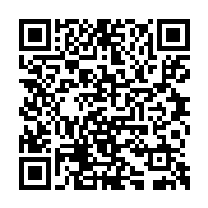 火力压制曼陀罗顶级杀手……大家可以一睹为快二维码生成