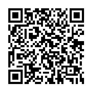 火天尊意念已因为先前的攻击而被消耗得差不多二维码生成