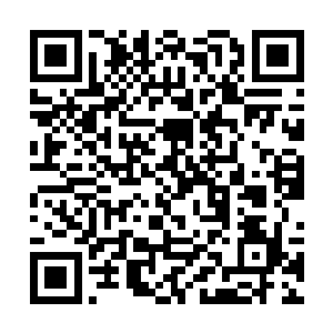 火天尊的本源之火在流风的造化青云下竟是自动湮灭二维码生成