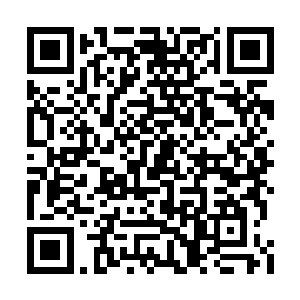 火拼的痕迹即便在夜色之中都已经变得愈发清晰二维码生成