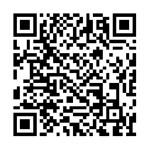 火桑国国王立即下令让人把这件事情宣扬了出去二维码生成