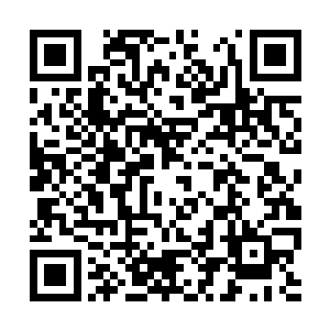 火流星隧道不过就是人工开发而出的娱乐项目罢了二维码生成