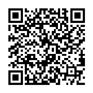 火源族的人又怎么会让苏落拿走属于大先知的舍利珠二维码生成