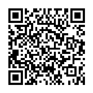 火灵儿并不是在用那凤凰火焰灼烧银色枪头和秘银灵木二维码生成