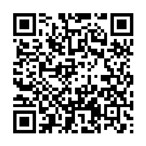 火灵族的猴妖们仍然保留着在树上攀援跳跃的习惯二维码生成