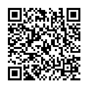 火炙云与族内长老带着不少疗伤药过来看望曹同浦二维码生成