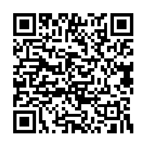 火炙青竟然陷入算计这笔赌约是否值得的判断中二维码生成