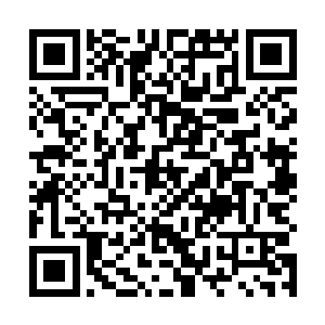 火炮阵地的轰炸对于外围的散兵阵来说犹如大炮打蚊子二维码生成