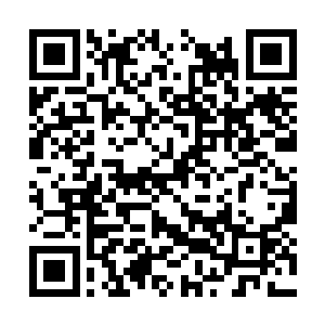 火焰族因为对人族天骄的肆意出手而遭遇如此劫难二维码生成