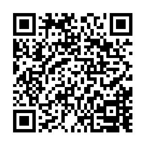 火爆的身材倒是让一旁的几位男生不自觉的咽了一下口水二维码生成