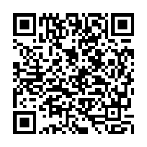 火狐和小宝也嘻嘻哈哈地将鱼捉下来扔到水桶里二维码生成