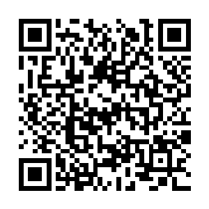 火狐的眼睛一下子就立起来――不仅是火狐的眼睛二维码生成