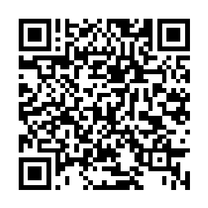 火种此时已经蜕变成了一块熊熊燃烧的小太阳一般二维码生成